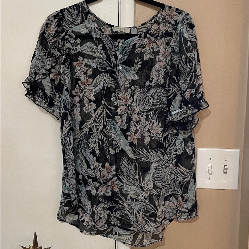 Status Black and White Sheer Blouse